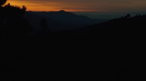 teen Peaks - Hump