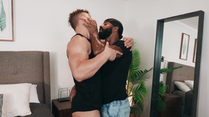 Shadow Dominates Felix Fox